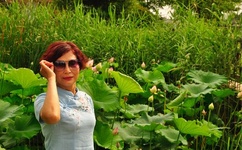 秀文笔原创日志